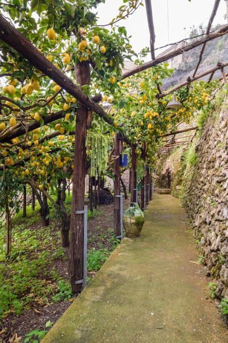 Вілла #La Limonaia Della Torretta Мінорі Екстер'єр фото